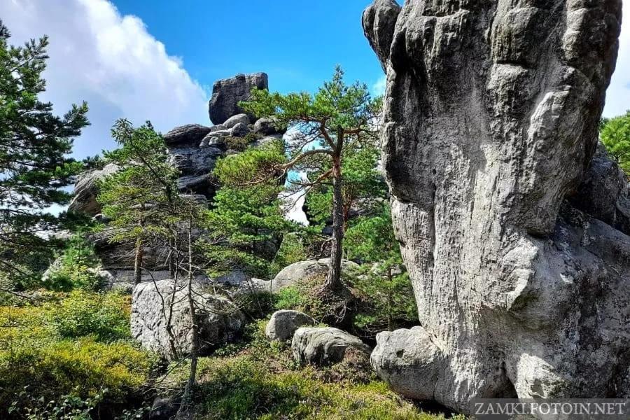 Pokoje U Filipa クドヴァ・ズドゥルイ エクステリア 写真